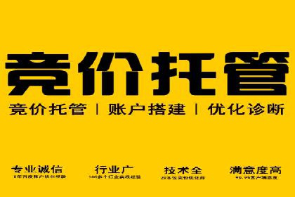 竞价推广中的着陆页策略：成功案例解读